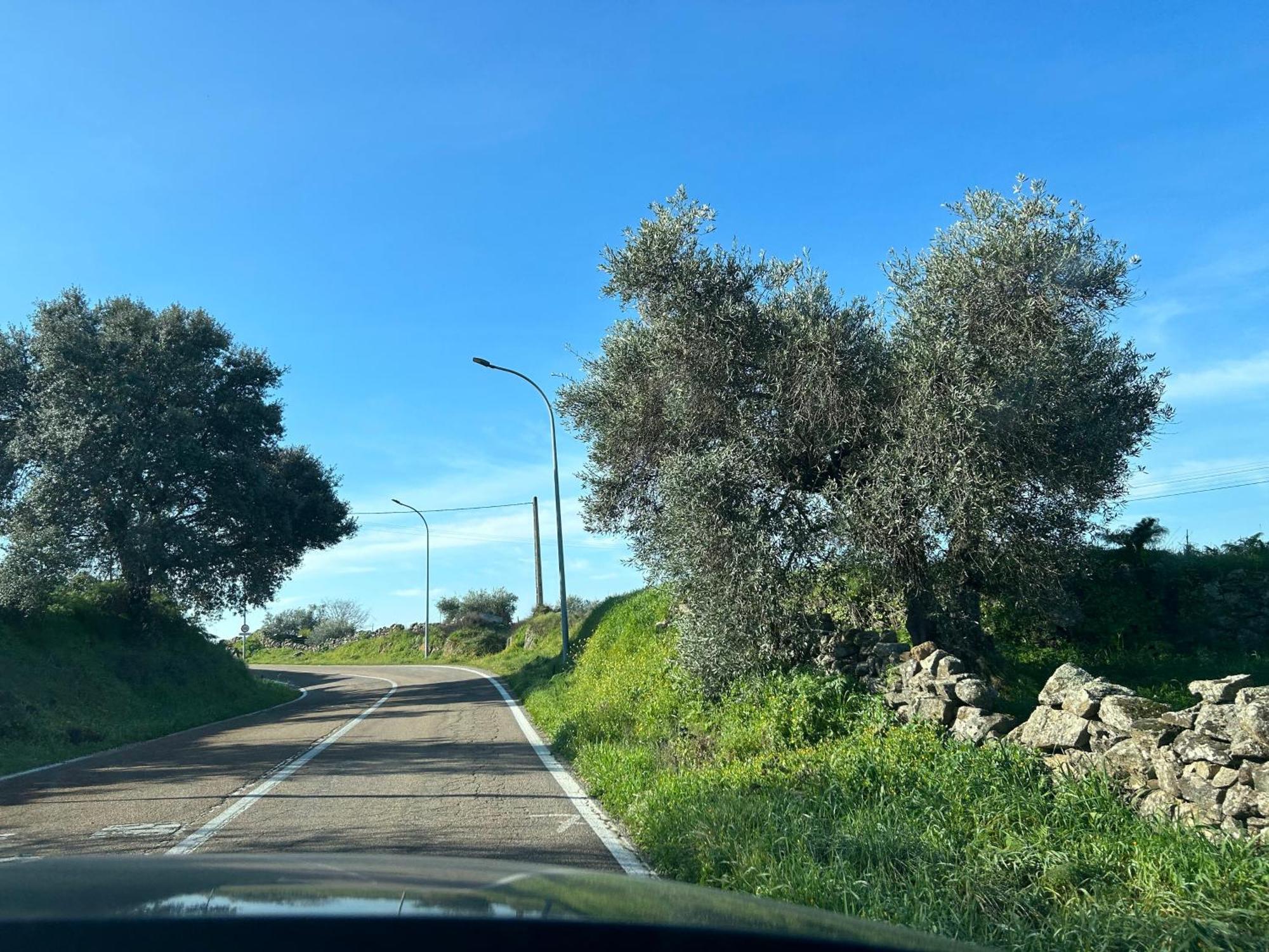 Casa Rural La Manzanilla Salvatierra de Santiago 외부 사진